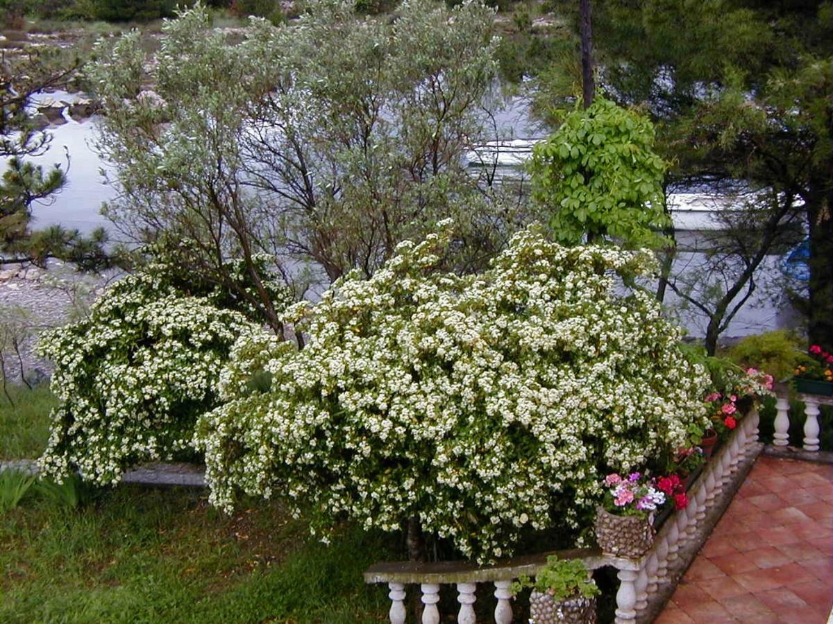 Villa Jaz Seline Zewnętrze zdjęcie